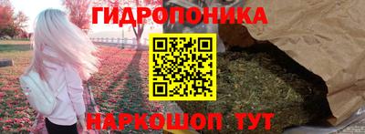 PSILOCYBIN Будённовск