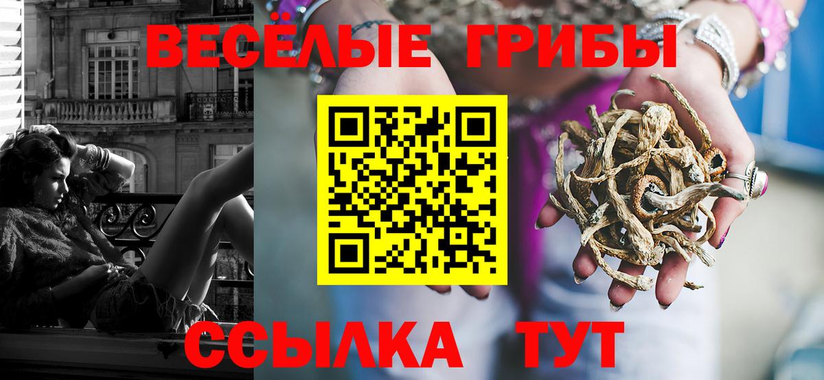 Шарыпово  цена   Вход с VPN  Псилоцибиновые грибы Psilocybine cubensis  Псилоцибиновые грибы ЛСД 